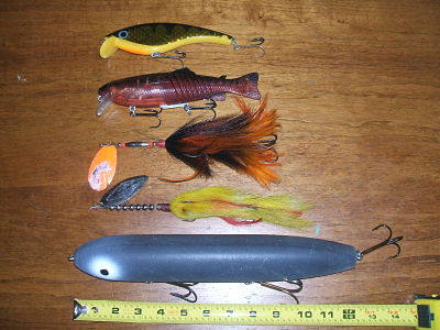 Click to expand / contract the width of this image