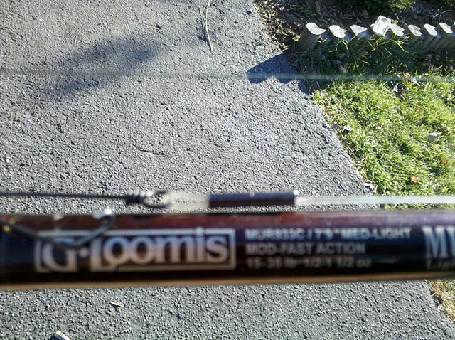 Click to expand / contract the width of this image