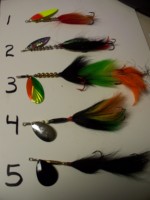 Click to expand / contract the width of this image