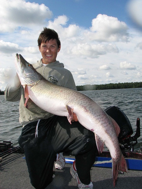 Click to expand / contract the width of this image