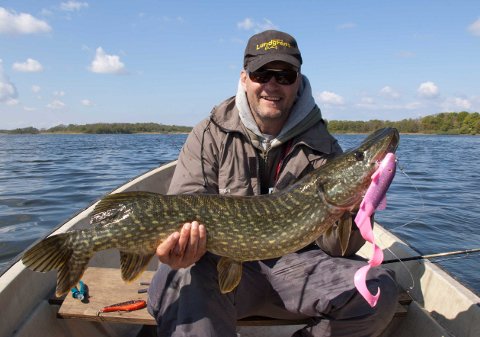 Click to expand / contract the width of this image