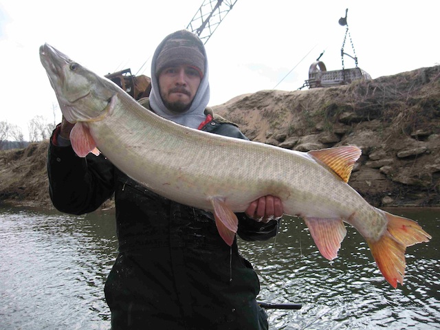 Click to expand / contract the width of this image