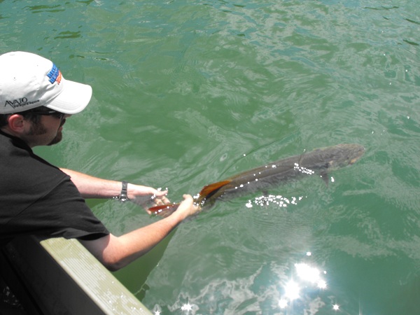 Click to expand / contract the width of this image