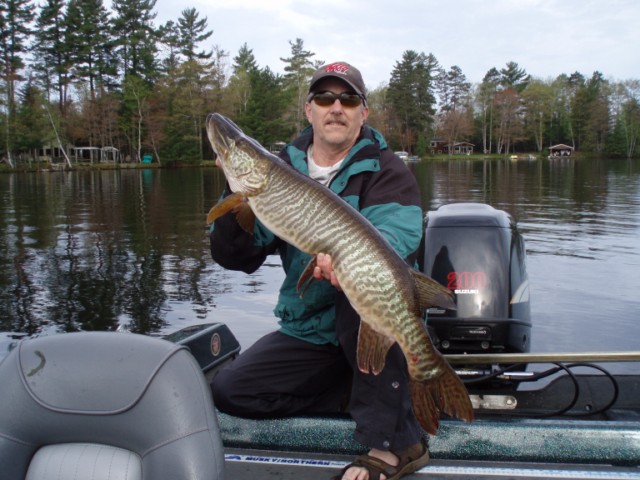 Click to expand / contract the width of this image