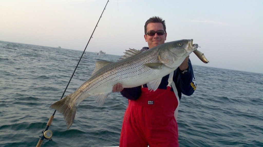 Click to expand / contract the width of this image