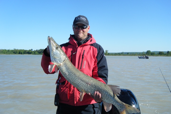 Click to expand / contract the width of this image