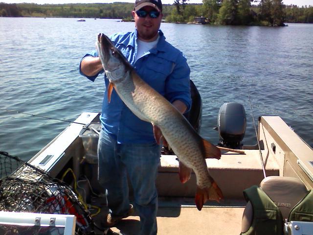 Click to expand / contract the width of this image