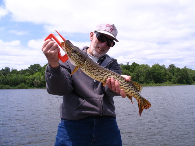 Click to expand / contract the width of this image