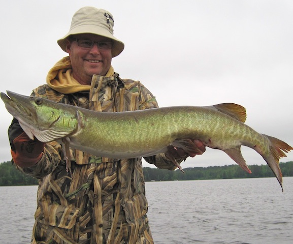 Click to expand / contract the width of this image