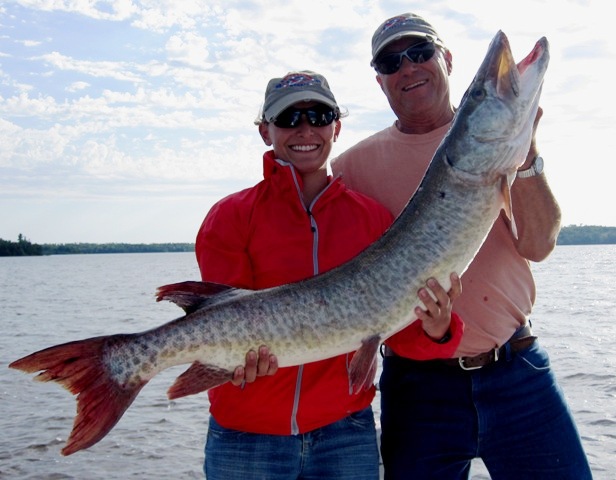 Click to expand / contract the width of this image