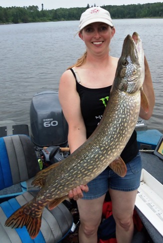 Click to expand / contract the width of this image