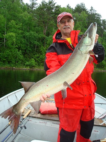 Click to expand / contract the width of this image