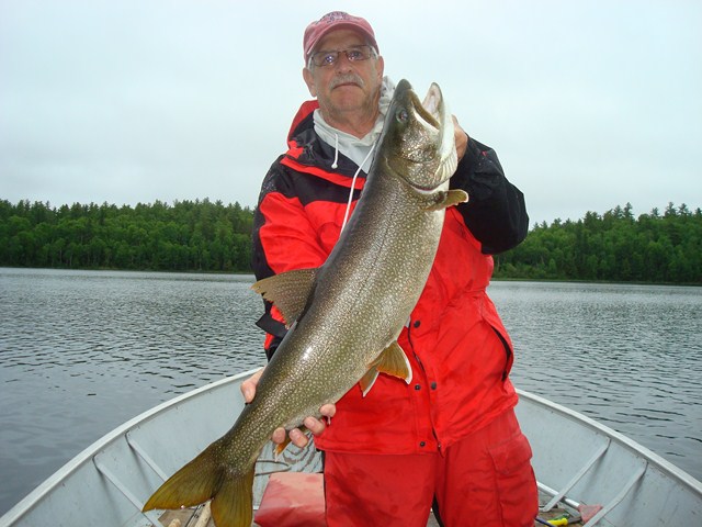 Click to expand / contract the width of this image