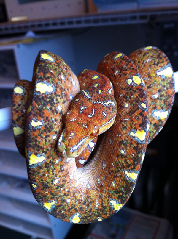 Click to expand / contract the width of this image