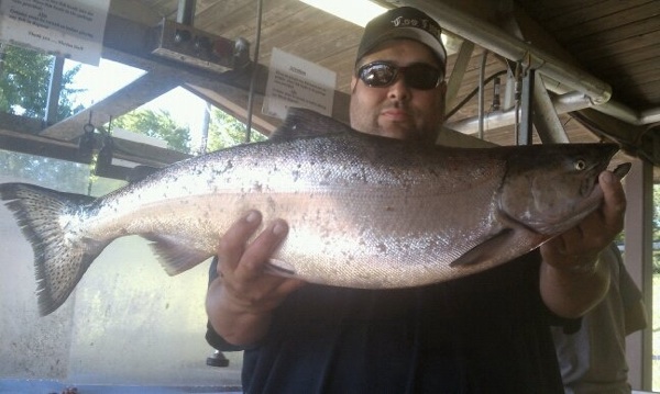 Click to expand / contract the width of this image