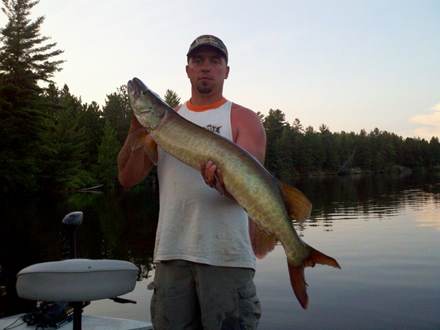 Click to expand / contract the width of this image