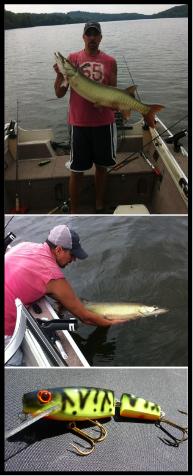 Click to expand / contract the width of this image