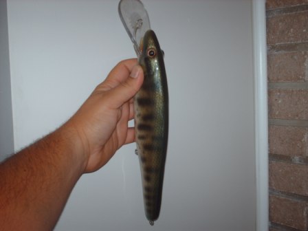 Click to expand / contract the width of this image