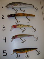 Click to expand / contract the width of this image