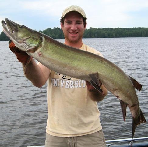 Click to expand / contract the width of this image