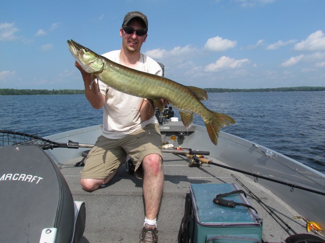 Click to expand / contract the width of this image