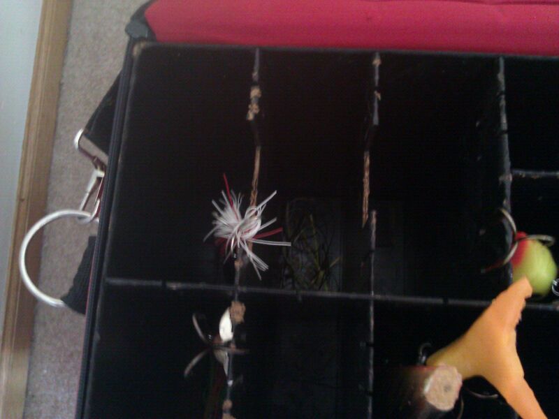 Click to expand / contract the width of this image