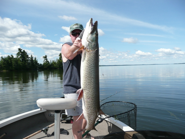 Click to expand / contract the width of this image