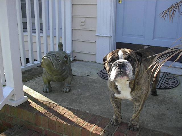 Click to expand / contract the width of this image