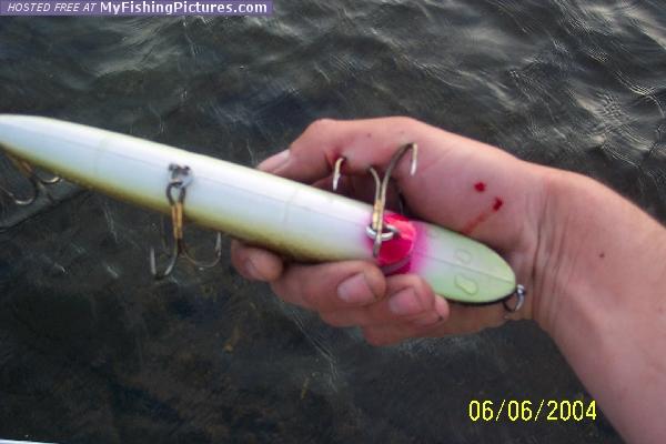 Click to expand / contract the width of this image