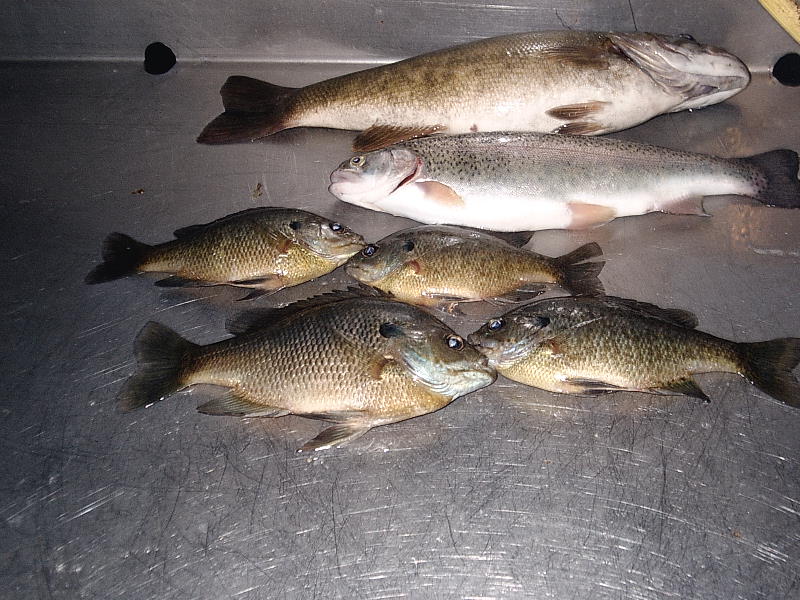 Click to expand / contract the width of this image