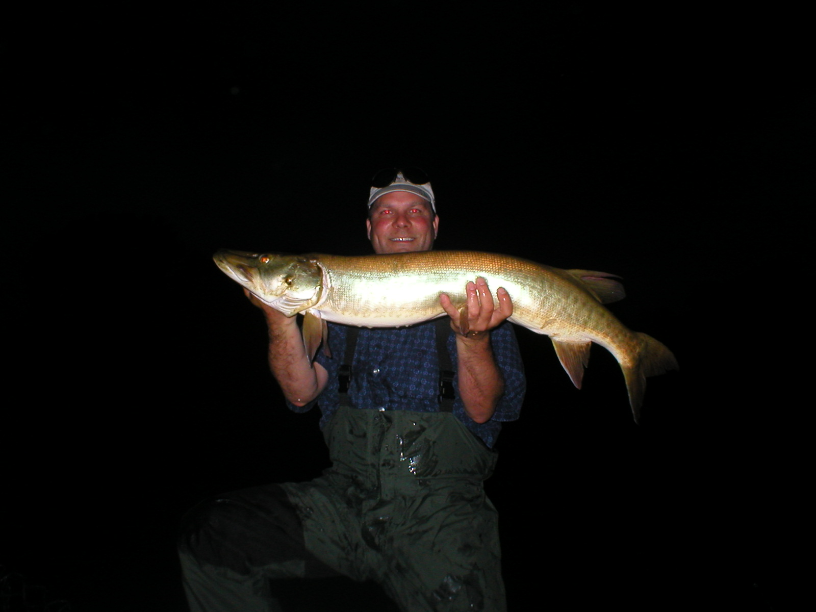 Click to expand / contract the width of this image