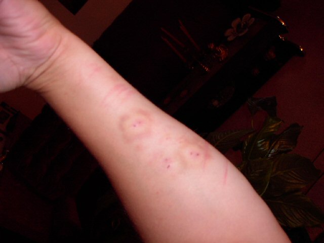 Click to expand / contract the width of this image