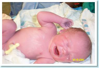 Click to expand / contract the width of this image