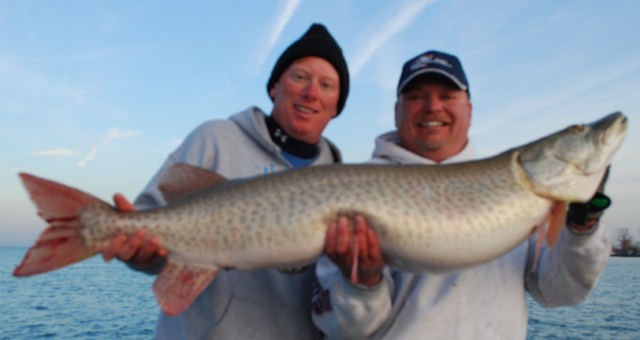 Click to expand / contract the width of this image