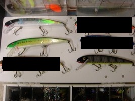 Click to expand / contract the width of this image