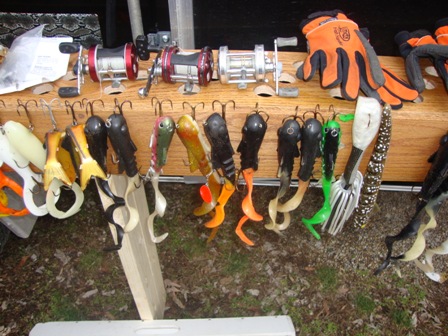 Click to expand / contract the width of this image