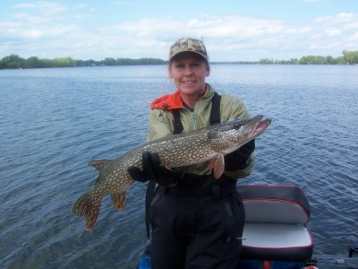 Click to expand / contract the width of this image