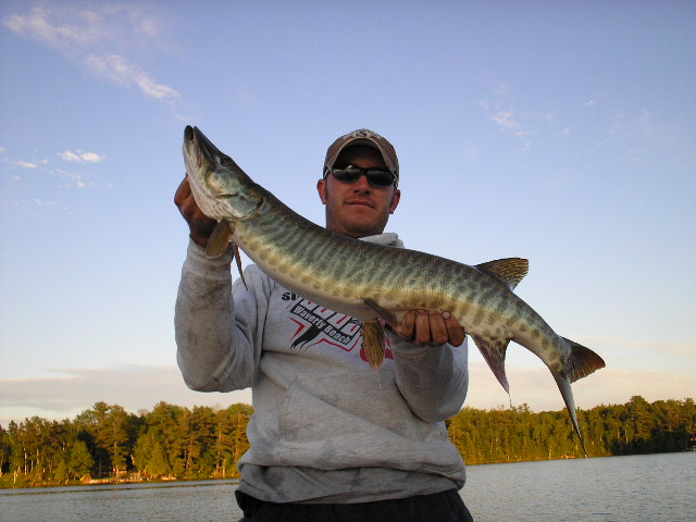 Click to expand / contract the width of this image