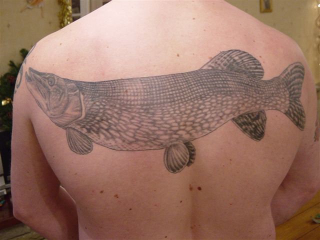 MuskieFIRST Peicing or tatts » General Discussion » Muskie Fishing