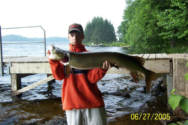 Click to expand / contract the width of this image