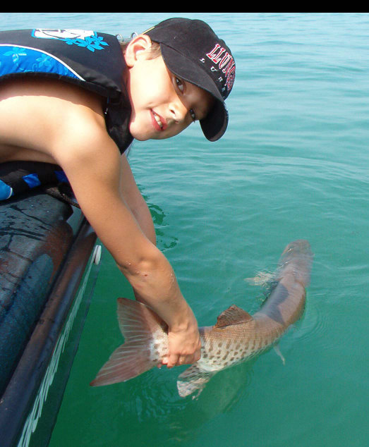 Click to expand / contract the width of this image