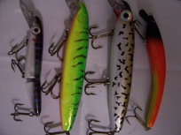 Click to expand / contract the width of this image