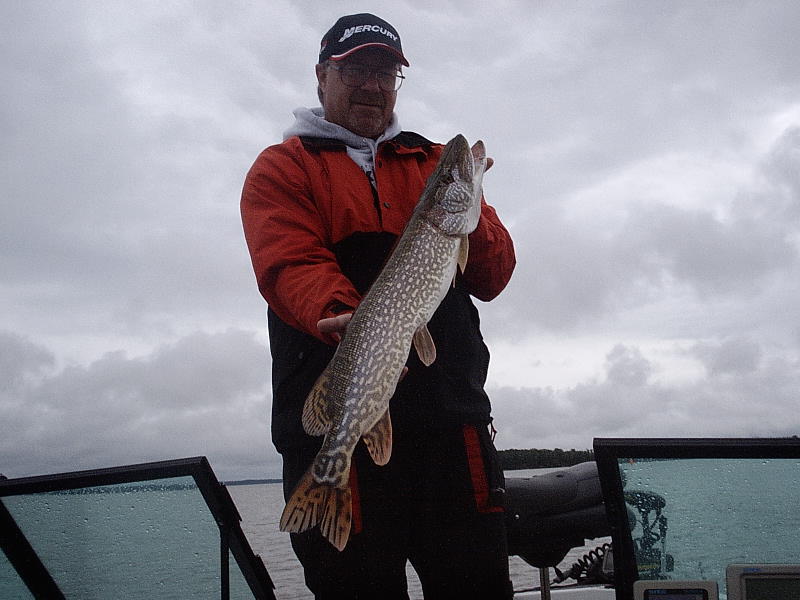 Click to expand / contract the width of this image