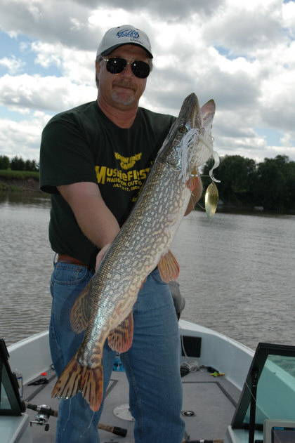 Click to expand / contract the width of this image