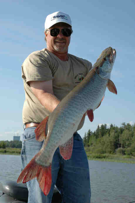 Click to expand / contract the width of this image