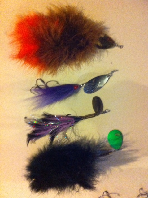 Click to expand / contract the width of this image