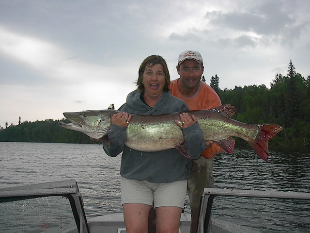 Click to expand / contract the width of this image