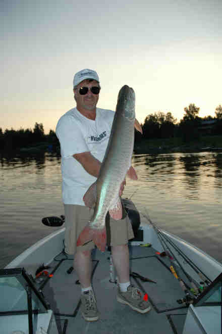 Click to expand / contract the width of this image