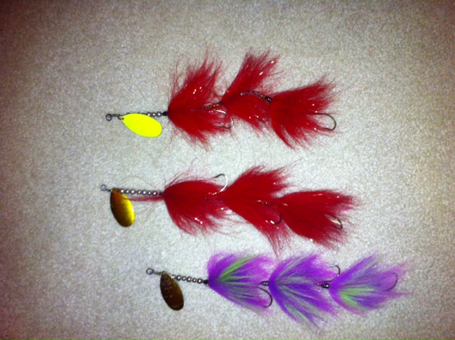 Click to expand / contract the width of this image