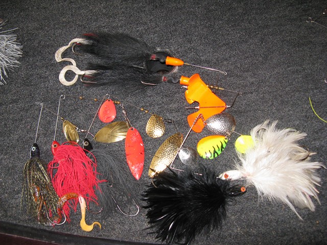 Click to expand / contract the width of this image